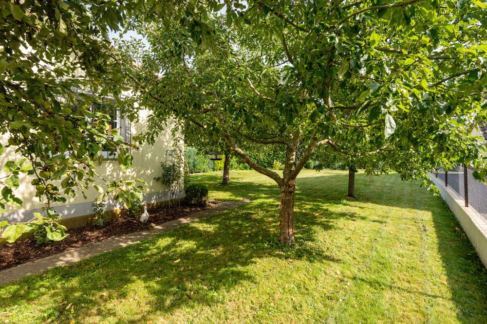 Gartenimpressionen 1