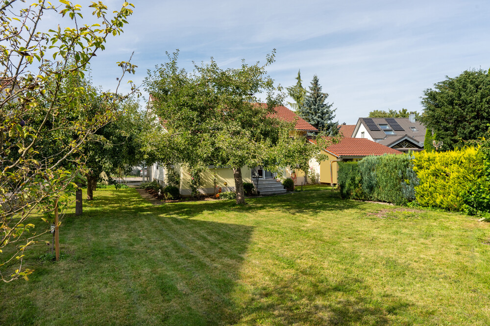 Gartenimpressionen 2