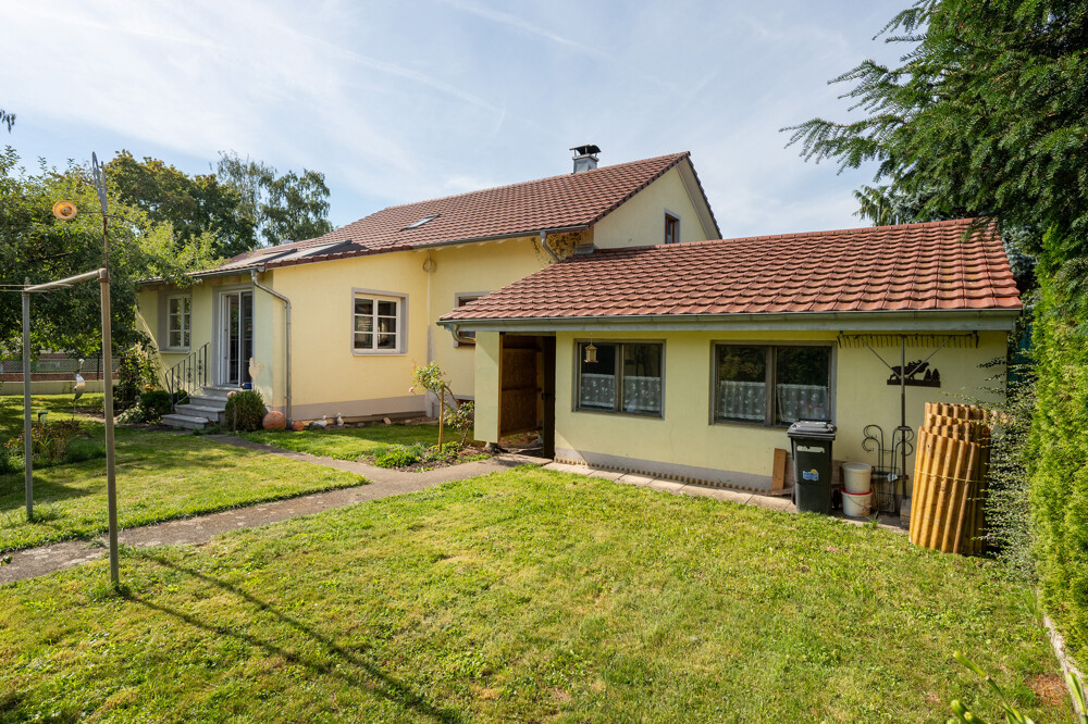 Gartenimpressionen 3