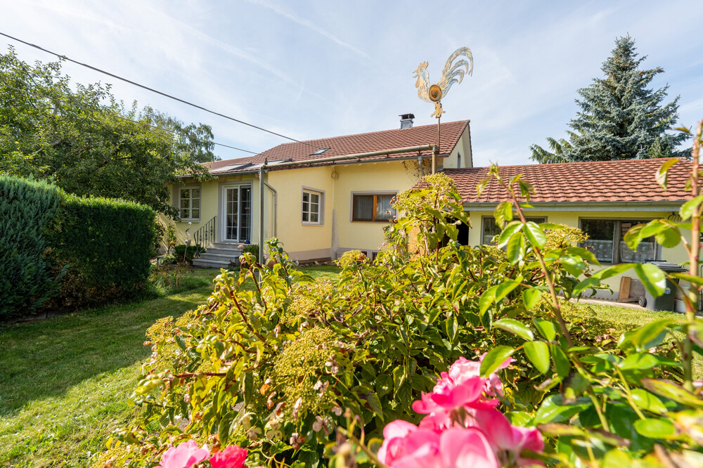 Gartenimpressionen 4