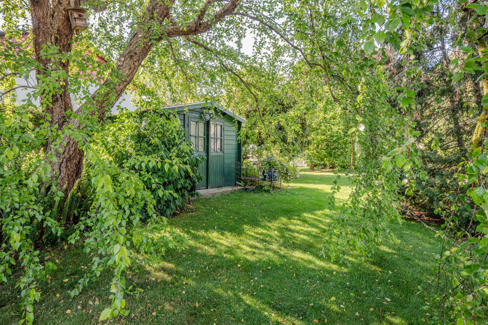 Gartenimpressionen 4