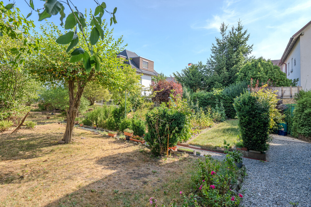 Garten Garten